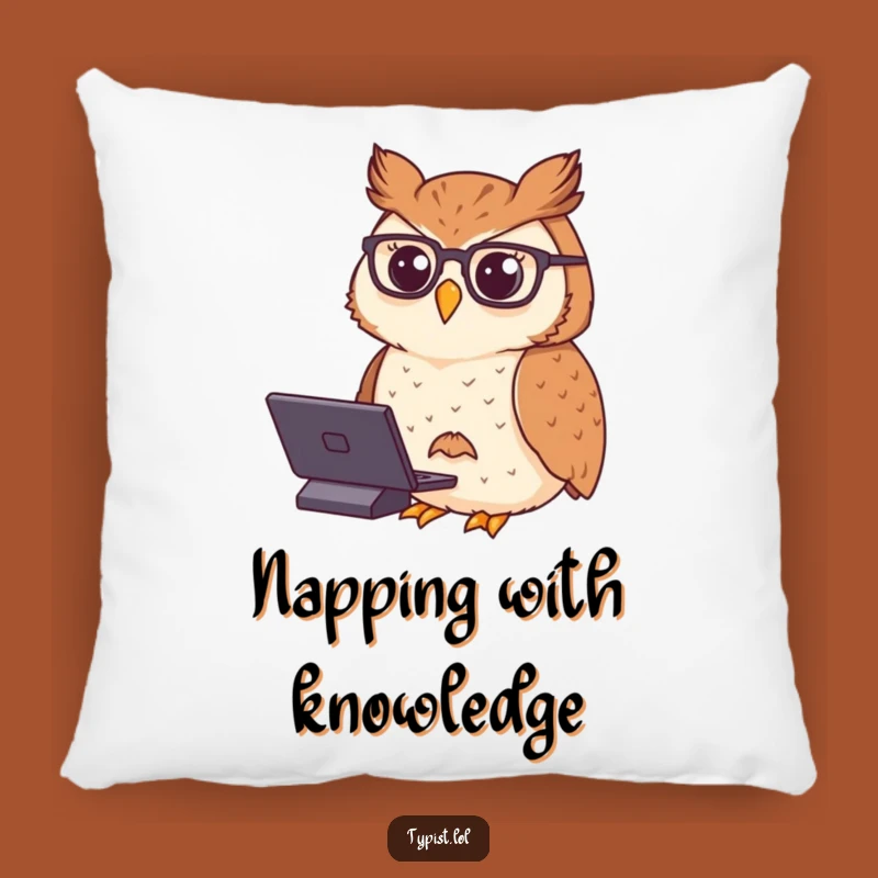 Funny Owl Typing Pillow: Get Comfy with this Hilarious Scholar